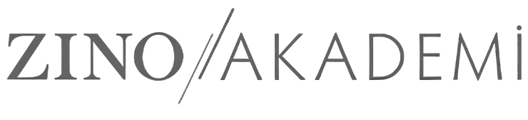 Zino Akademi Logo